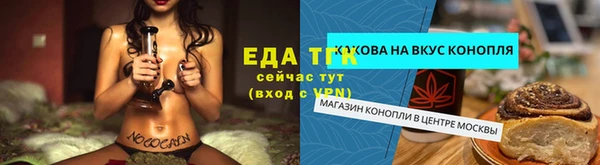 винт Абаза