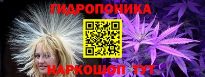 индика Кимры