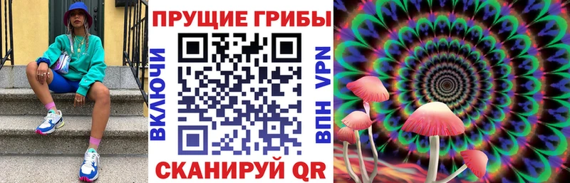 закладка  Кизляр  Псилоцибиновые грибы GOLDEN TEACHER 
