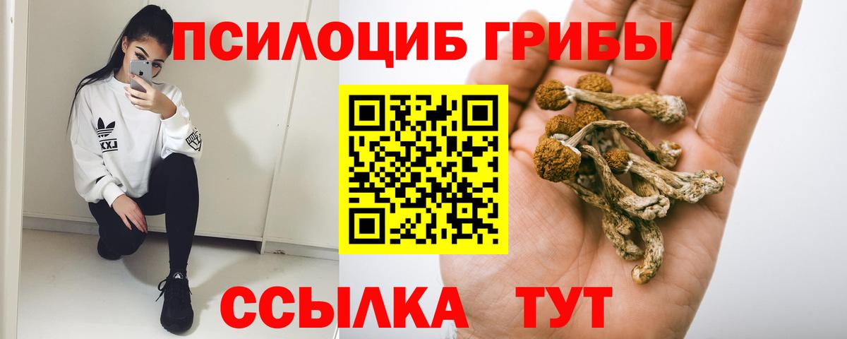 где купить   Псилоцибиновые грибы GOLDEN TEACHER  Вход с VPN  Кизляр 
